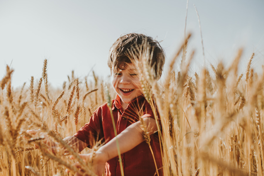 Family Photo Shoot Wheat Field Cape Town