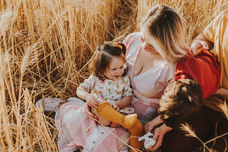 Family Photo Shoot Wheat Field Cape Town