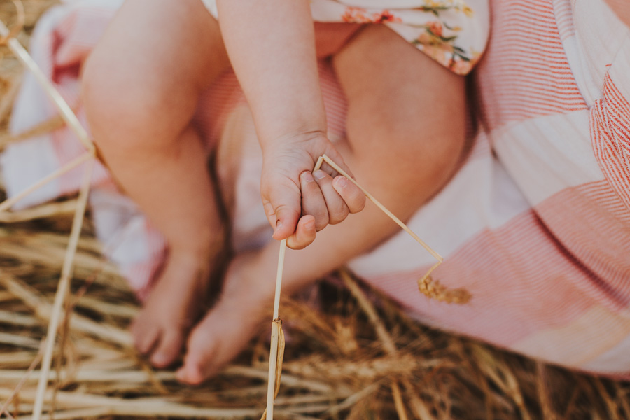 Family Photo Shoot Wheat Field Cape Town