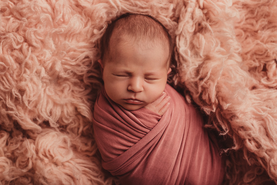 newborn photo shoot cape town photographer