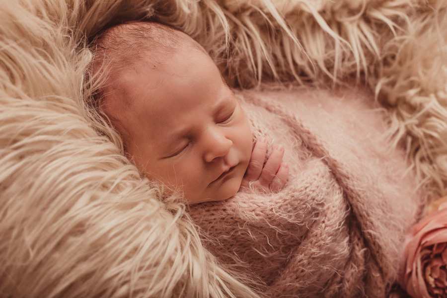 newborn photo shoot cape town photographer