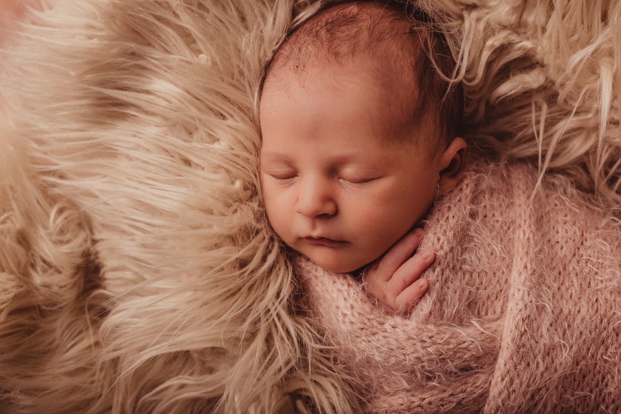 newborn photo shoot cape town photographer