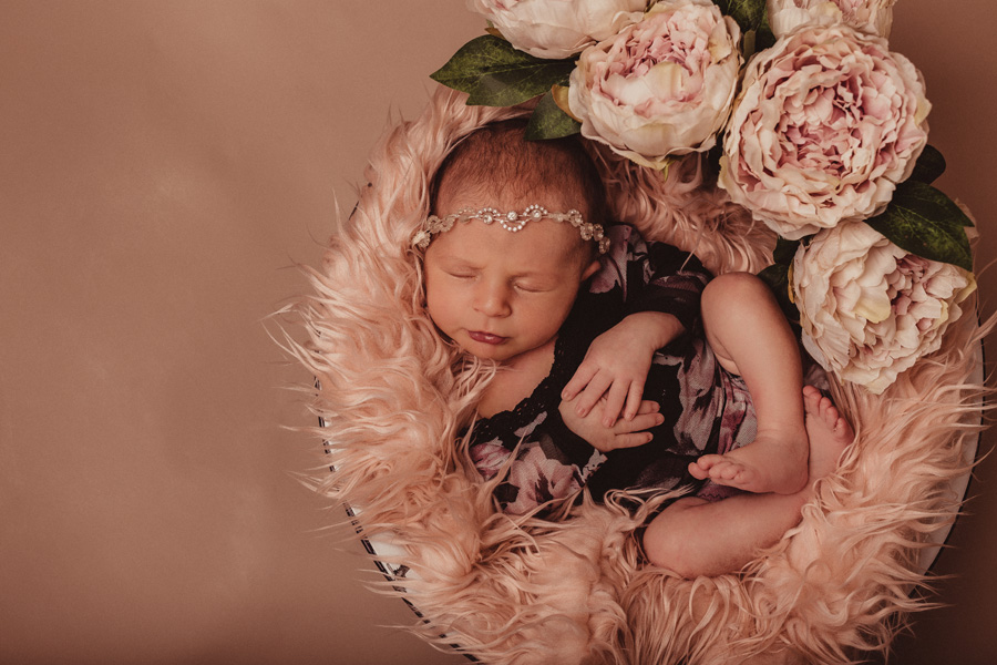 newborn photo shoot cape town photographer