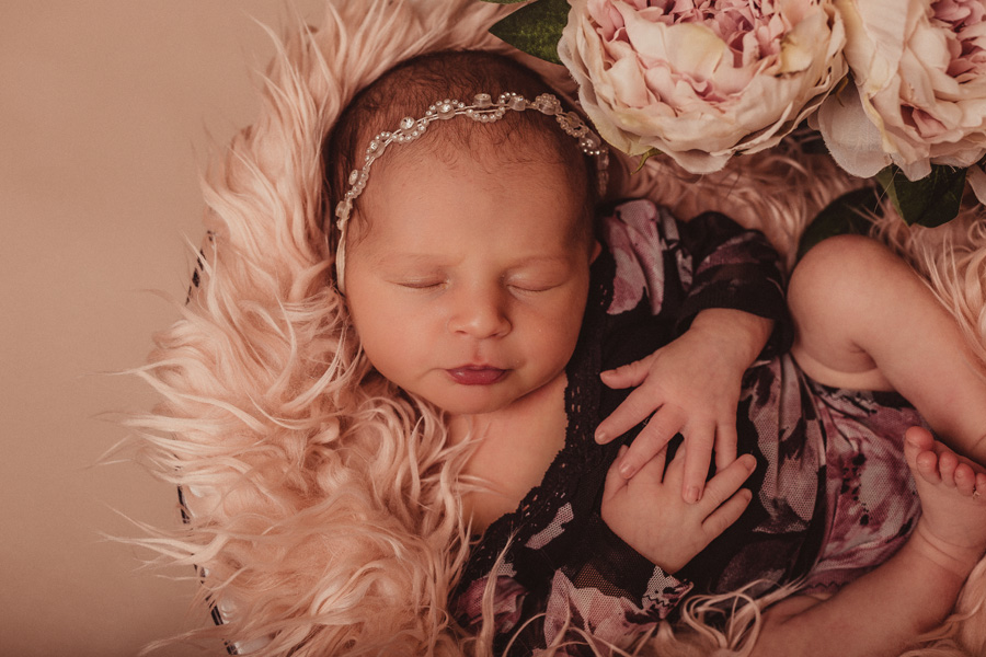 newborn photo shoot cape town photographer