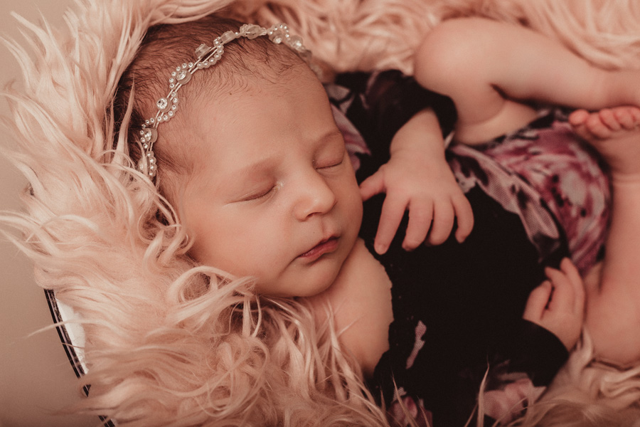 newborn photo shoot cape town photographer