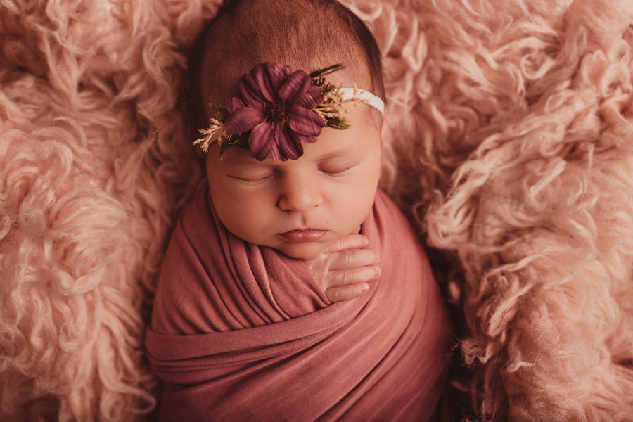 newborn photo shoot cape town photographer