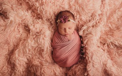 Newborn Baby Willow | Cape Town Newborn Photographer