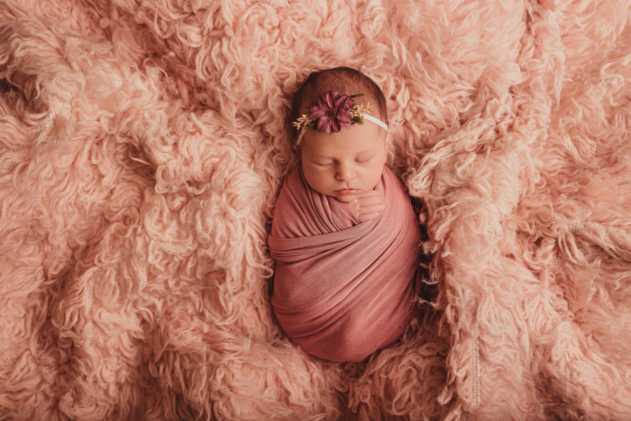 newborn photo shoot cape town photographer