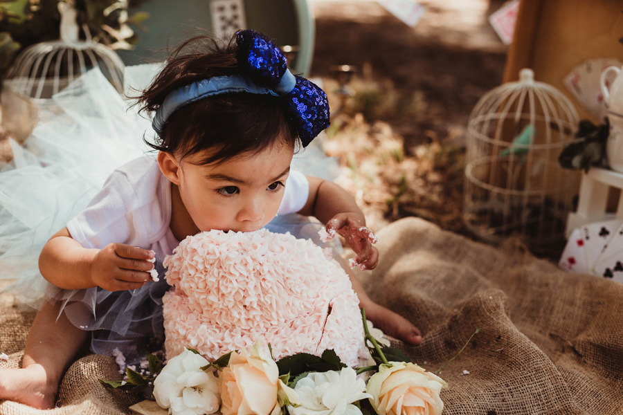 alice in onederland cape town cake smash photo shoot