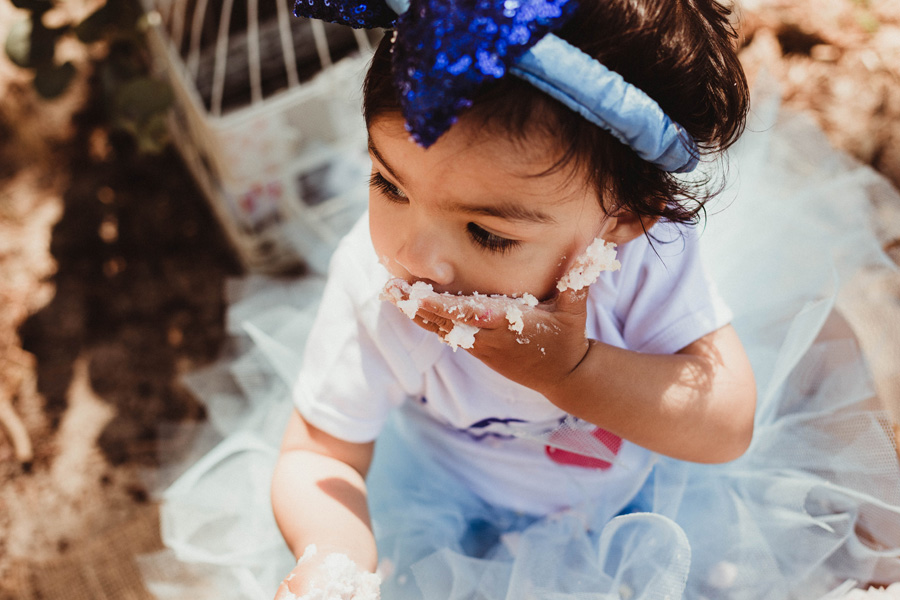 alice in onederland cape town cake smash photo shoot