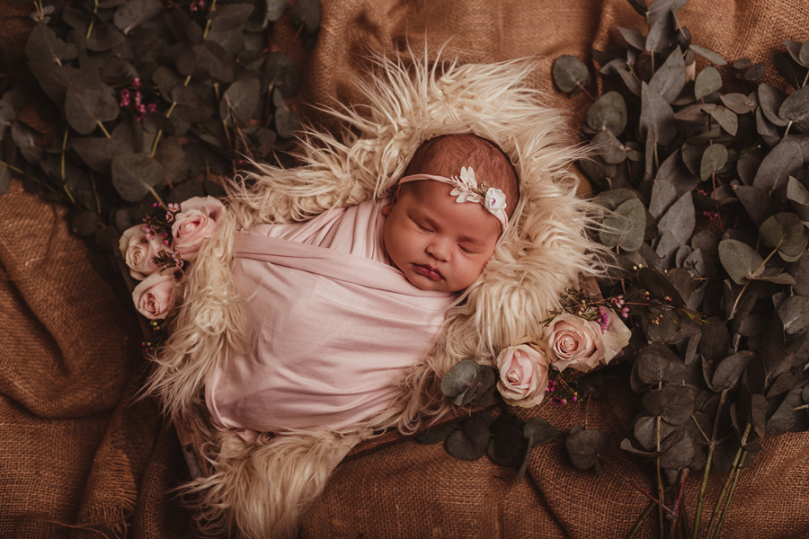 newborn photo shoot cape town photographer