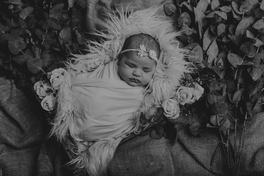 newborn photo shoot cape town photographer