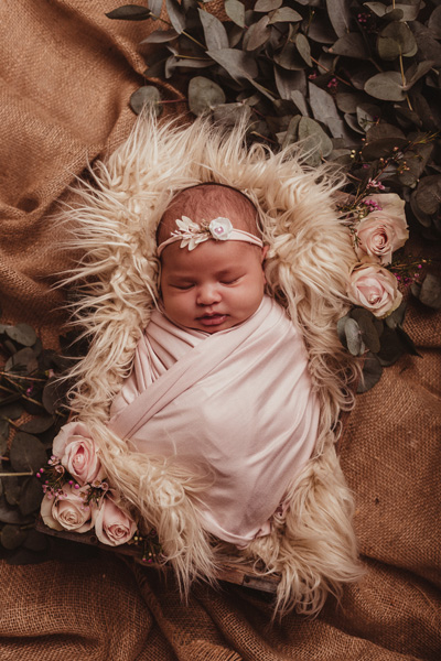 newborn photo shoot cape town photographer