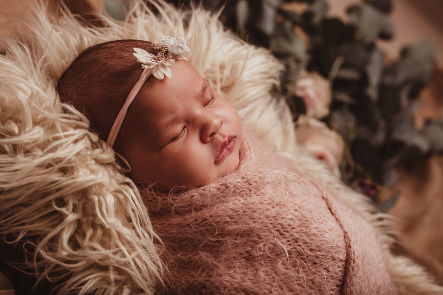 newborn photo shoot cape town photographer