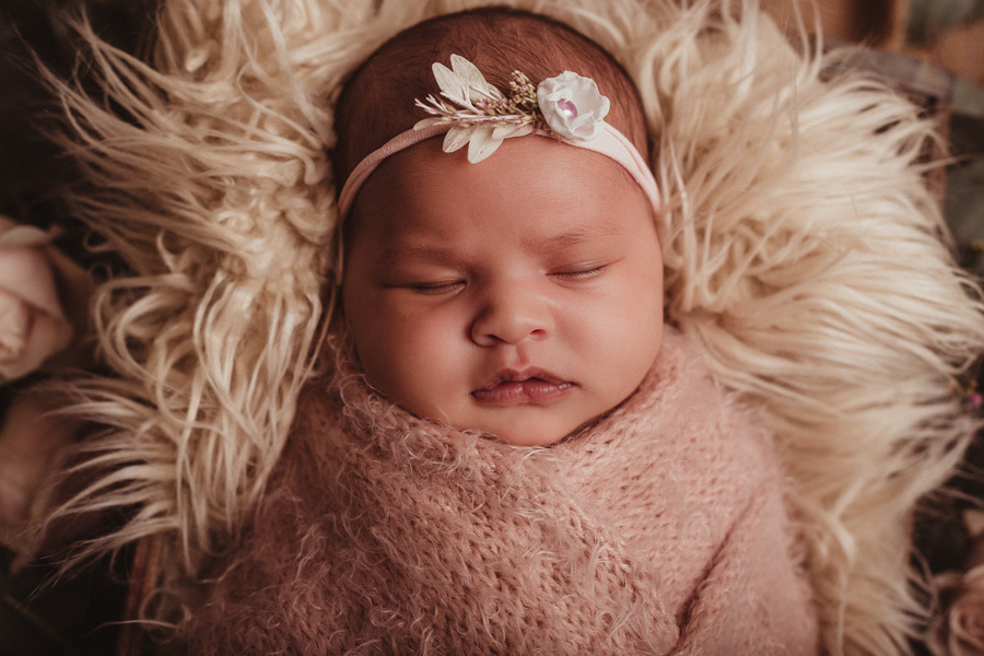 newborn photo shoot cape town photographer