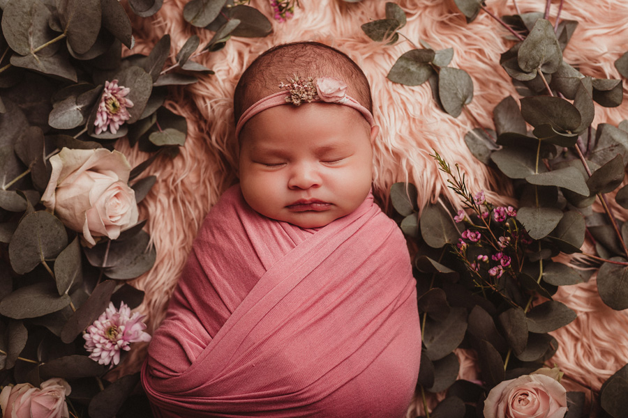 newborn photo shoot cape town photographer