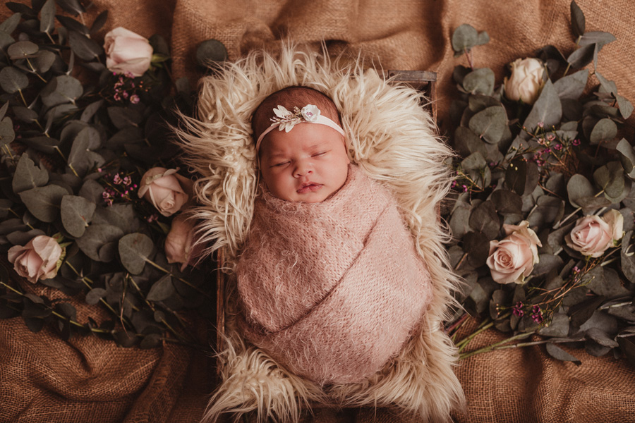 newborn photo shoot cape town photographer