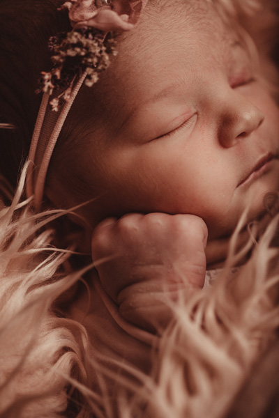 newborn photographer cape town baby girl and sibling