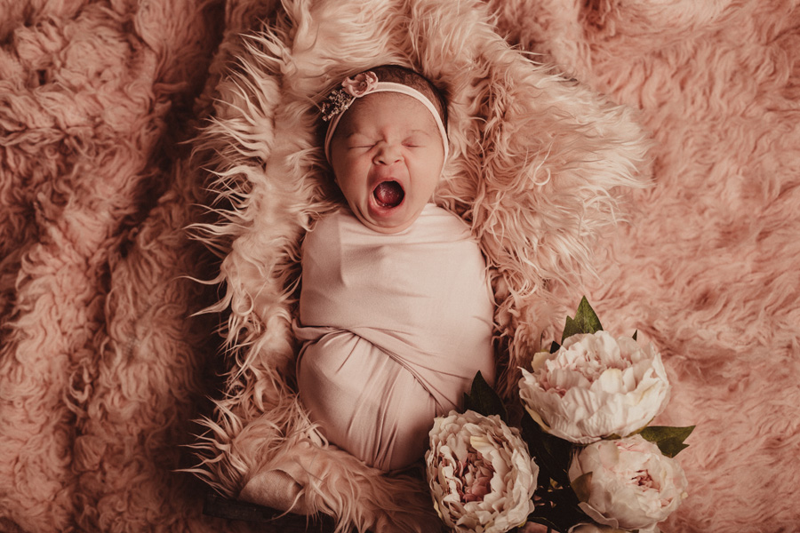 newborn photographer cape town baby girl and sibling