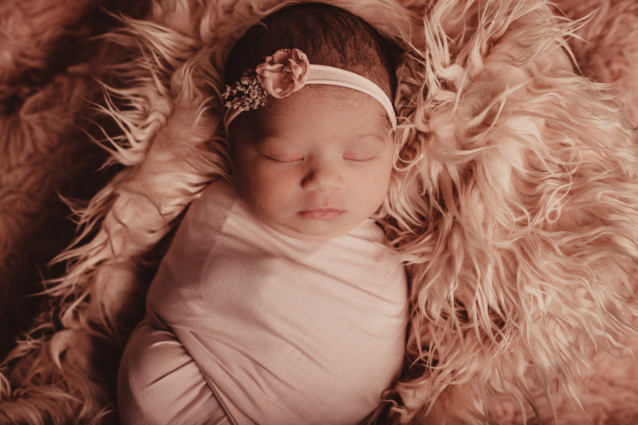 newborn photographer cape town baby girl and sibling