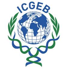 ICGBE chosen photographer to capture event in cape town
