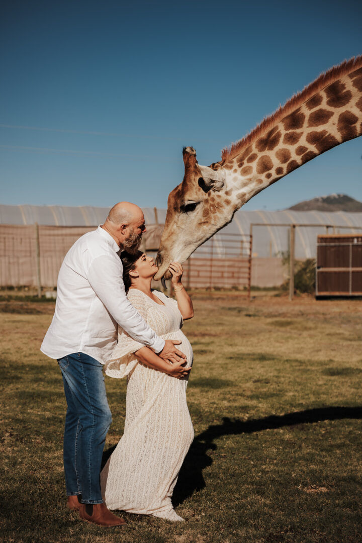 mom kissing a giraffe while pregnant in cape town